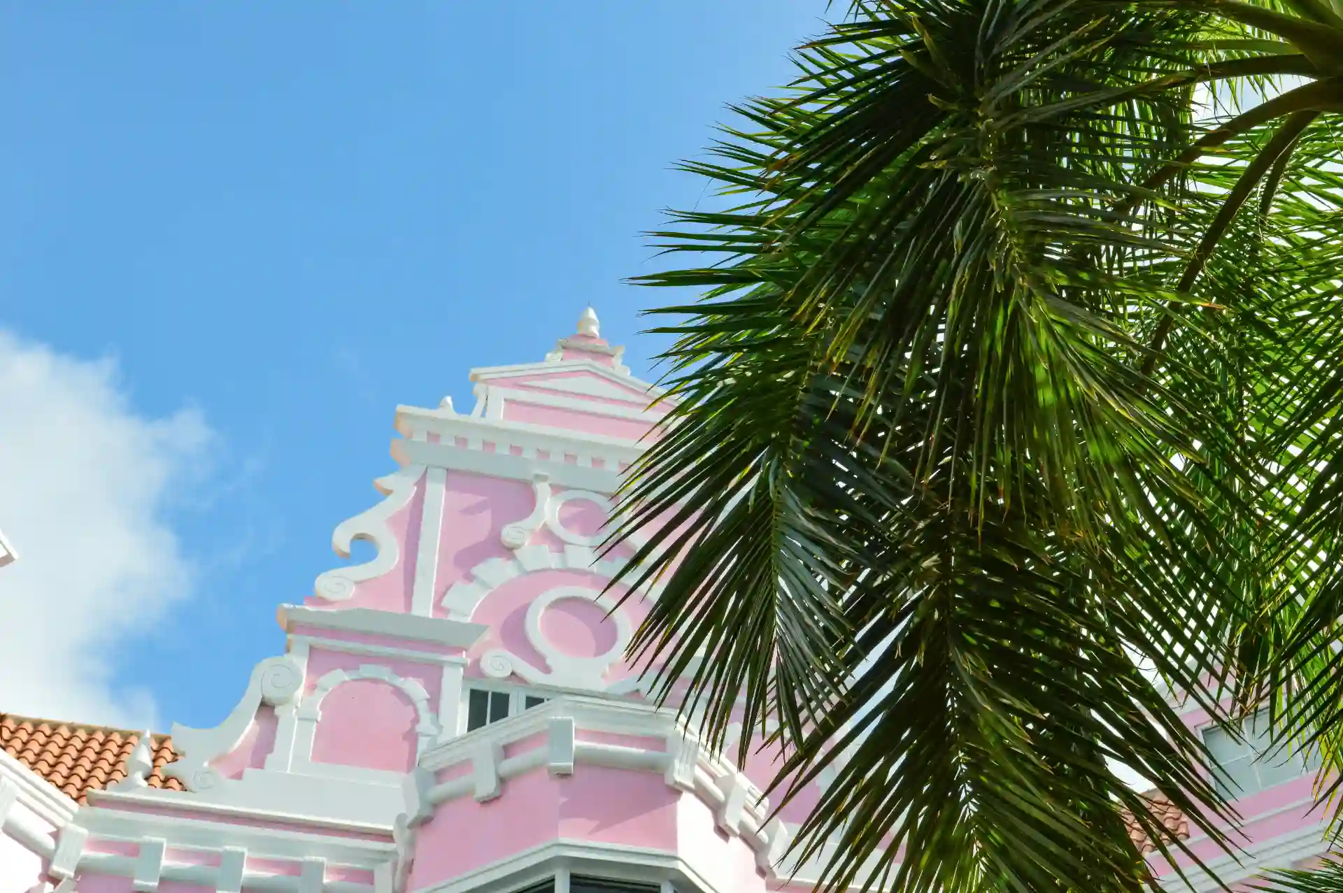 CRM, ERP and software development for businesses in Aruba